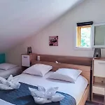 Village Drôles D'oiseaux