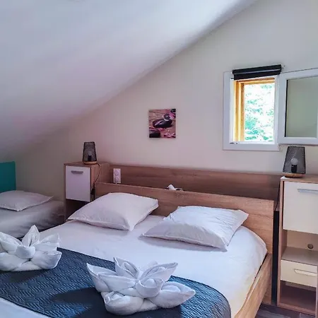 Village Droles D'oiseaux