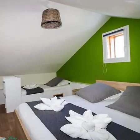 Village Droles D'oiseaux