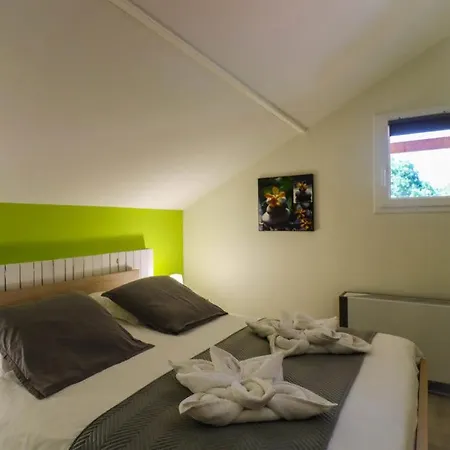 Village Droles D'oiseaux Le Teich