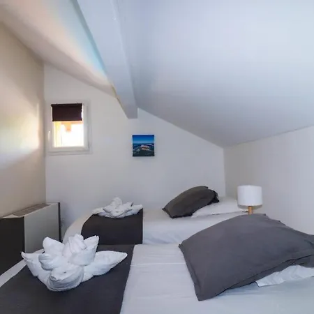 Village Droles D'oiseaux *