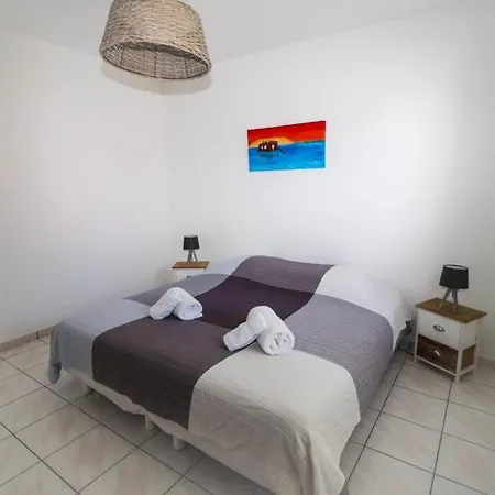 Village Droles D'oiseaux * Le Teich