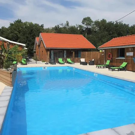 Village Droles D'oiseaux * Le Teich