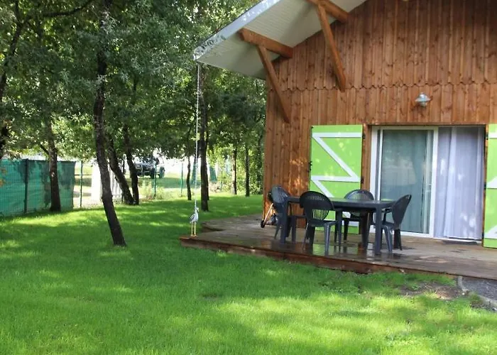 Village Droles D'oiseaux *