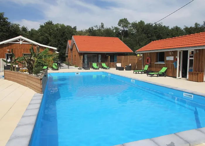 Village Droles D'oiseaux * Le Teich